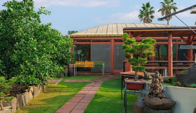 Jeju Jeonwonsaenghwal Diorem Pension