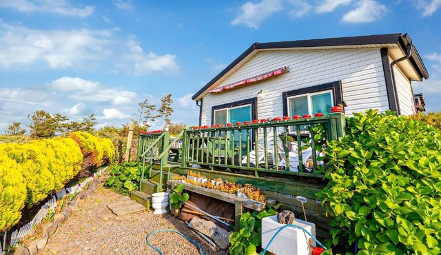 Jeju Kkothyanggi Badasori Pension
