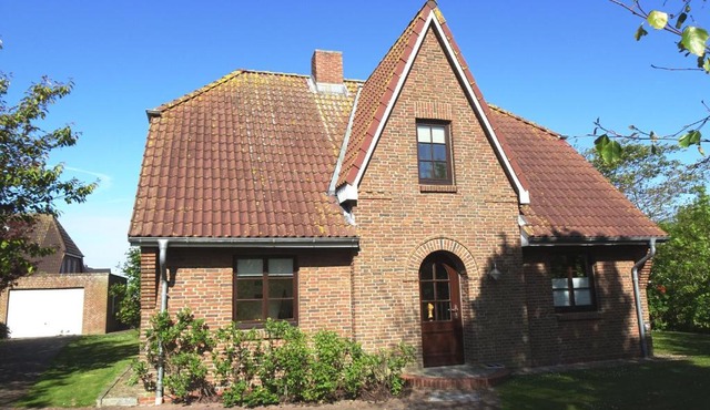 Kegelrobbe