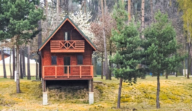 Kemp Stříbrný rybník by Interhome