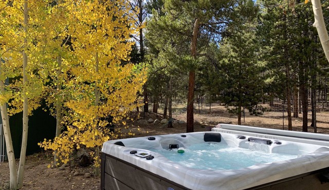 King Bed - Mt Elbert Base Camp - Private Hot Tub