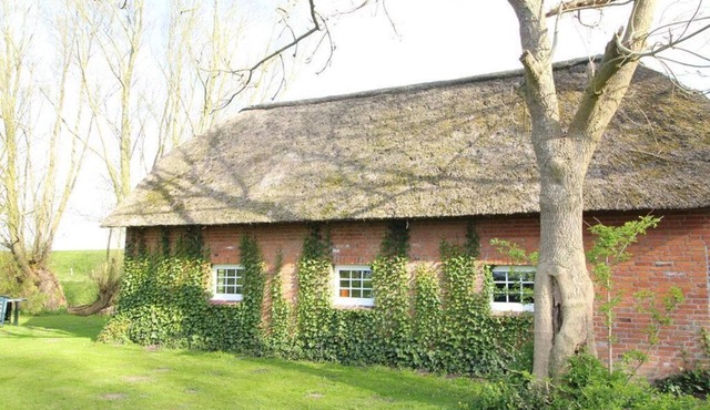 Lütte Hus, Deutschland