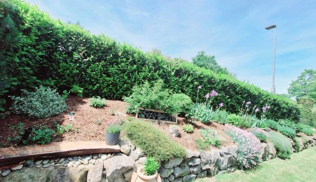 Lake Constance pearl! Cozy 3.5 room apartment with beautiful garden near Lake Constance