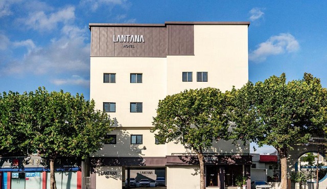 Lantana Daegu Shinam Branch