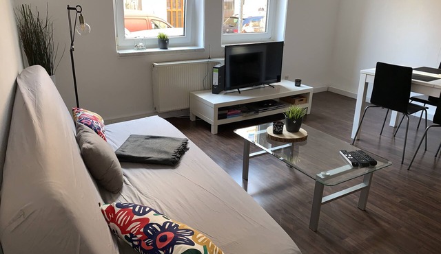 Large bright apartment with 2 bedrooms free WiFi 5 minutes to the center
