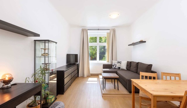 Large city apartment