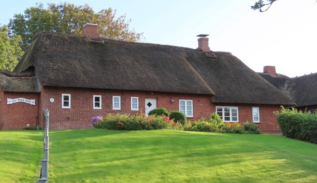 Large courtyard with lawn, garden shed and terrace, WLAN