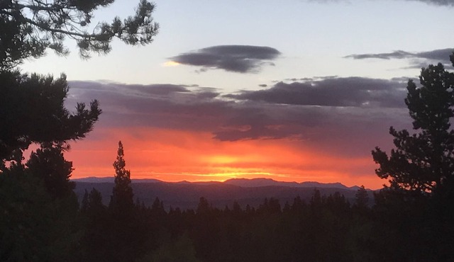 Little Bear's Log Cabin w Mountain views on quiet acreage, close to Breckenridge