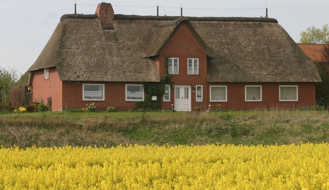 Living under a thatched roof, in the quiet neighborhood of Fahretoft, 8 km from the North Sea