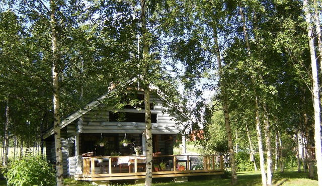 Log cabin Hopeavirran Helmi