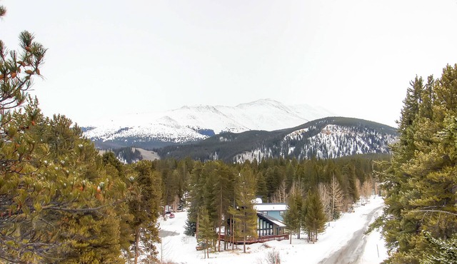 Mark IX #6: Outstanding Location - Close to Town and Slopes - Free Shuttle