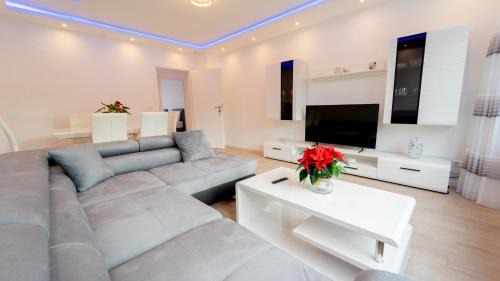 Mega Lux Apartment