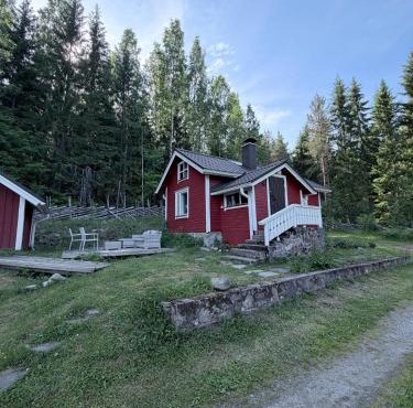 Metsäpirtti