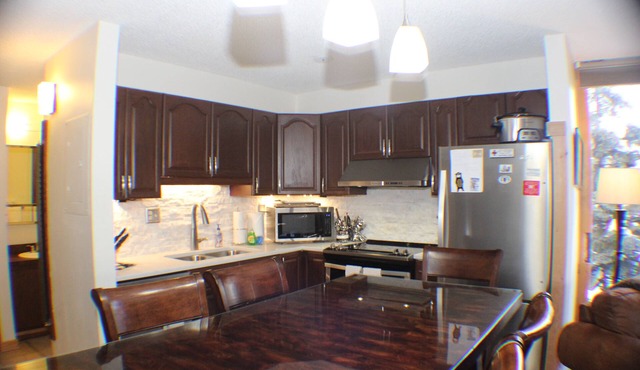 Mid Week Special Rate Feb- True Ski In - Ski Out Condo -