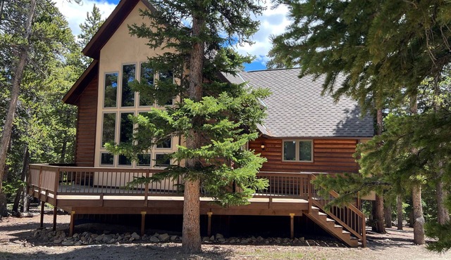 Mountain House-Work and Play-23 miles to Breck-Pet Friendly!