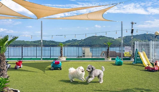 Namhae Bom Yeoreum Gaeul Gyeoul pension