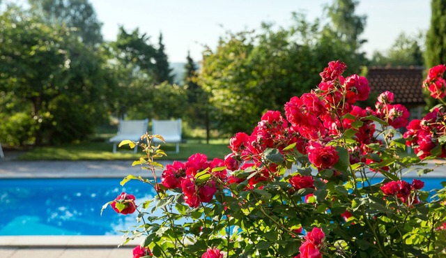 Newly built, modern 3-room luxury apartments near Lake Constance