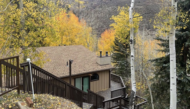 Newly Remodeled Furnished Gorgeous Vail Condo