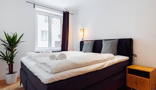 Newly-Renovated, Central City Apartment in the Heart of Vienna