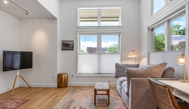 No Stairs-Bright NoBo ground floor condo in walkable Holiday neighborhood