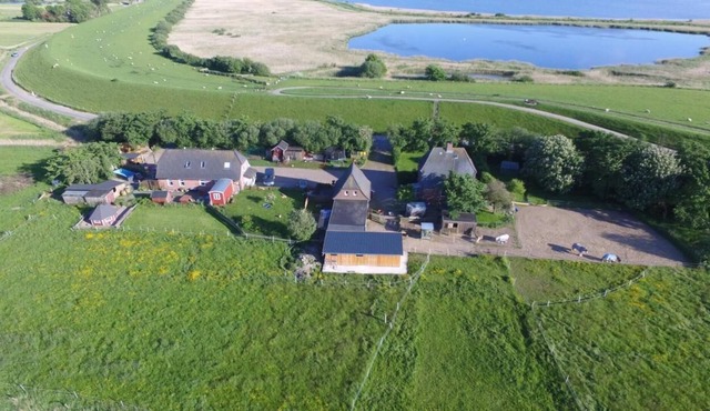 Nyehus - holiday farm and riding therapy Deichwind - North Friesland
