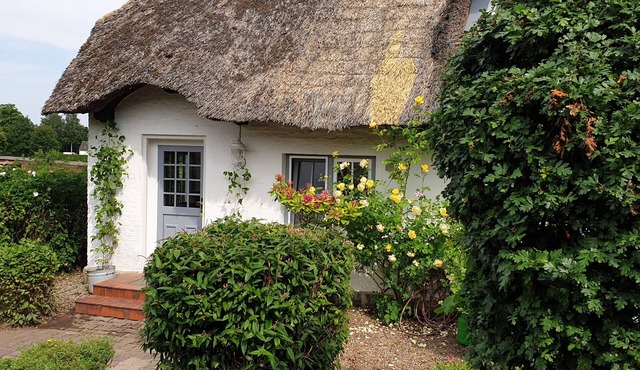 Old post station from 1857. Romantic thatched cottage, half of the house. Dog friendly!