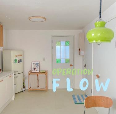 Operation Flow 작전명 몰입