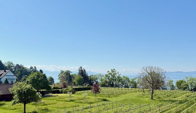 Panoramic view vacation apartment - a cozy retreat with a view