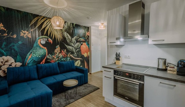 Passau Apartment|Singles-Couples-Groups|Central