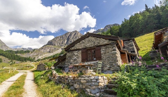 PETIT CHALET - SAINT ANDRE