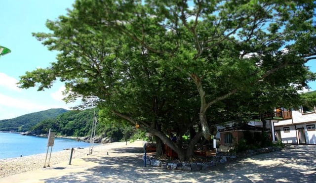 Pinky Marine Pension