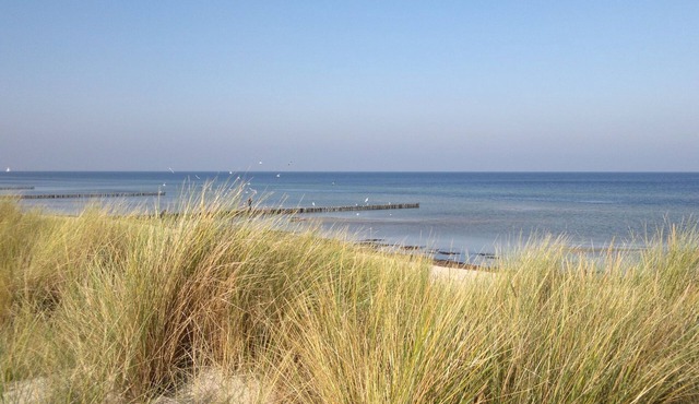 Pleasant Holiday Home in Malchow near the Beach