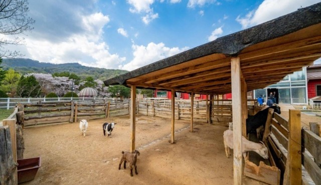Pocheon Seoundongsan Pension