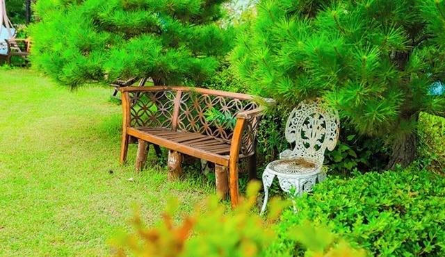 Pyeongchang Beautiful Pension