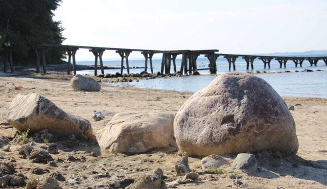 Randers met uitzicht op het water