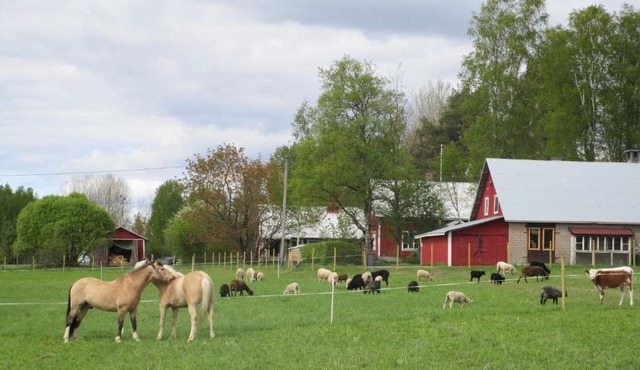 Rantakorpi Farm