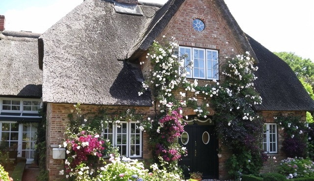 Reethus in Borgsum: 121 m², sauna, fireplace & garden, 5 stars