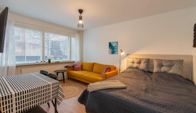 Renovated bright Studio, Free wifi, City center