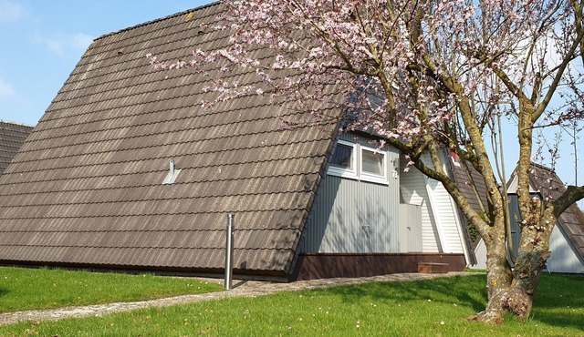 Roof-only house "Murmel 1", Wallbox f. E-cars, fireplace, beach chair, WLAN