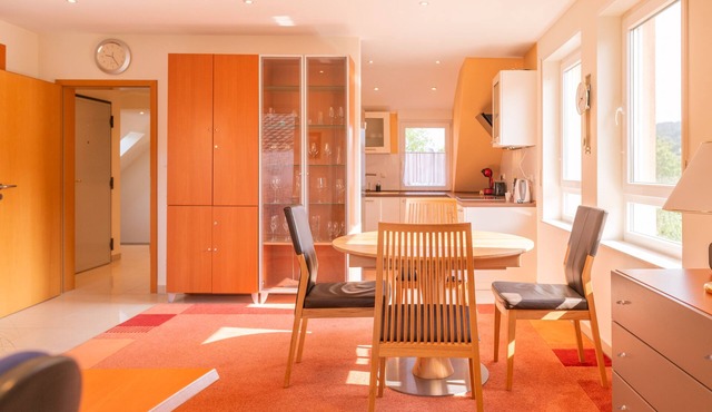 Rooftop: 85sqm² | castle view | loggia | office | air conditioning