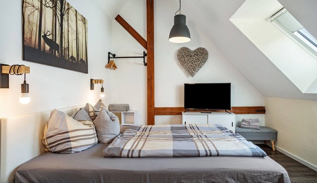 Room 2, cozy, bright double room with sloping ceiling