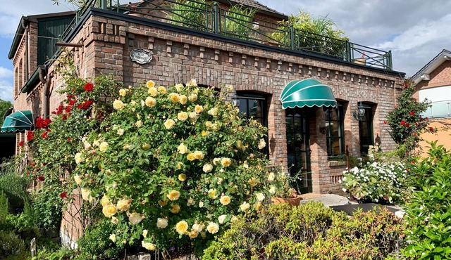 Rose Cottage Apartment – Relax and Unwind