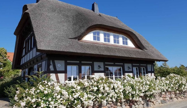 Rügen-Cottage up to 8 persons, sauna, fireplace,beach chair,barbecue,garden,parking lot