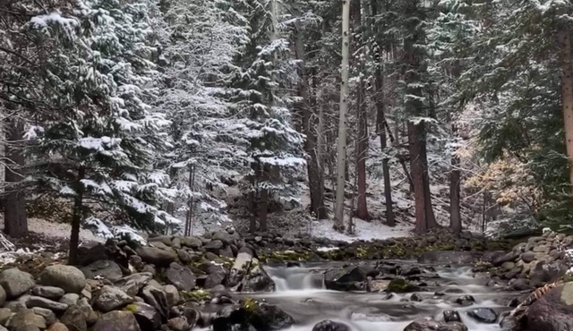 Sanctuary Escape on River W/Hot Tub, Sauna & Piano