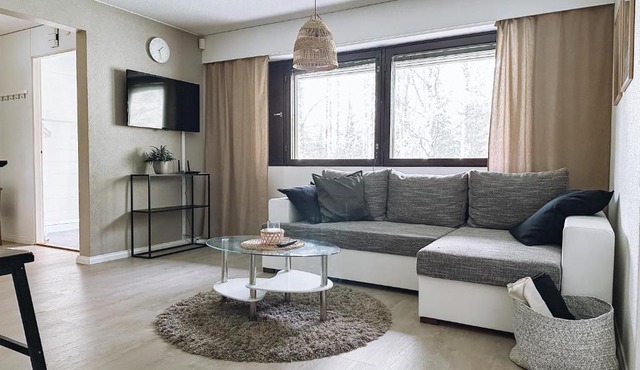 Sapelin airbnb, Parkano