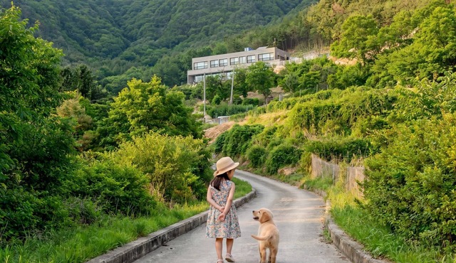 Sara&forest Pension Mungyeong