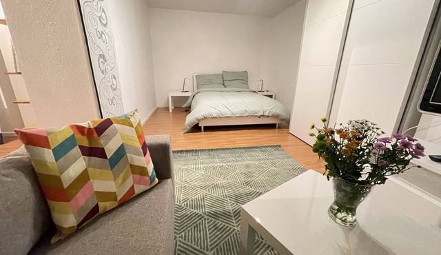 Schönes Appartment in Laufweite zum Zentrum & Mainufer