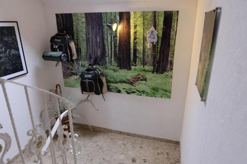 SchwarzWild - Ferienwohnung und Ferienzimmer