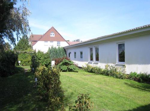 Seepferdchen