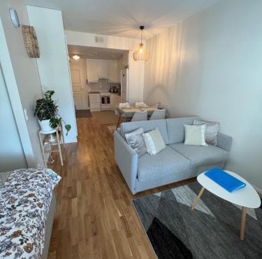 SiilinPiha central apartament Siilinjärvi